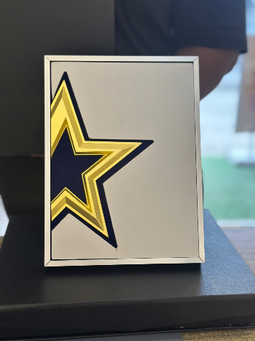 Silver star award