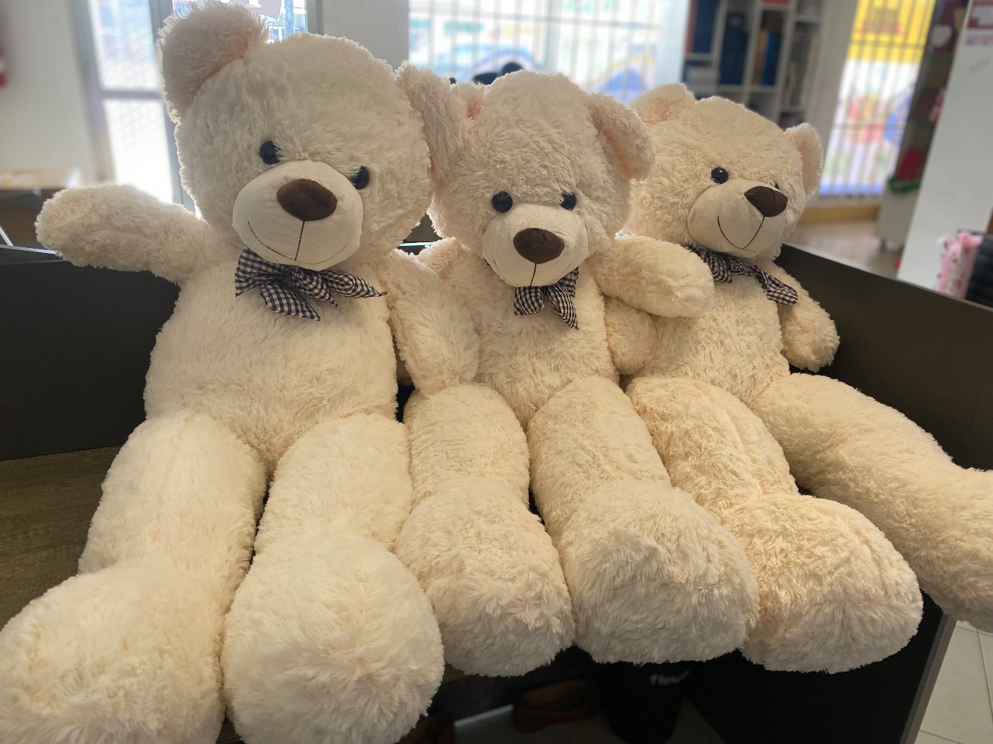 Grand Ivory Teddy
